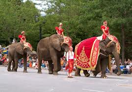 Your 9-5 Parade.  That I am not crashing.  Or raining on.