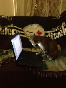 "Can't believe I got another callback for CATS!  They told me they wish everyone was talented as I was.  Wowee!"