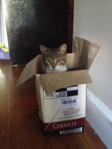 This post is getting a little ranty. So let's take a break and look at Tiber in a box from this morning.