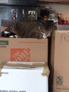 What will happen if you lose the balance...