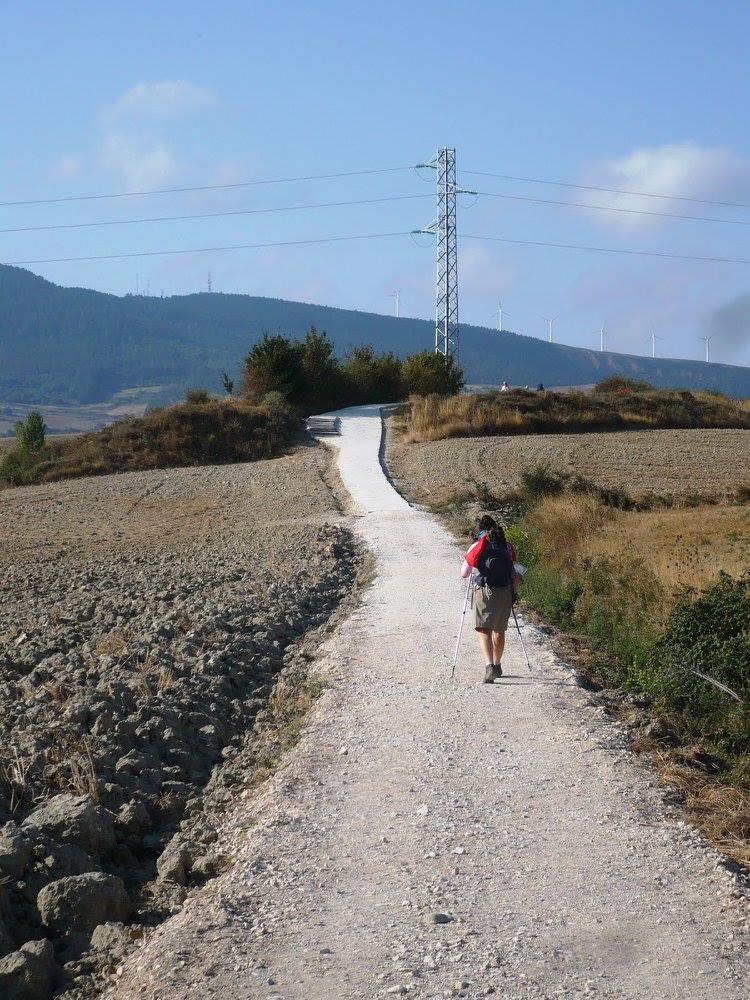 11145016_907224178509_8292082373070529376_o