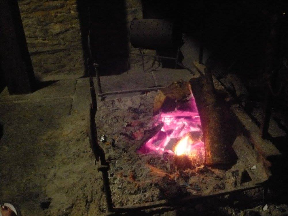 12916958_907227202449_5741885594403682415_o