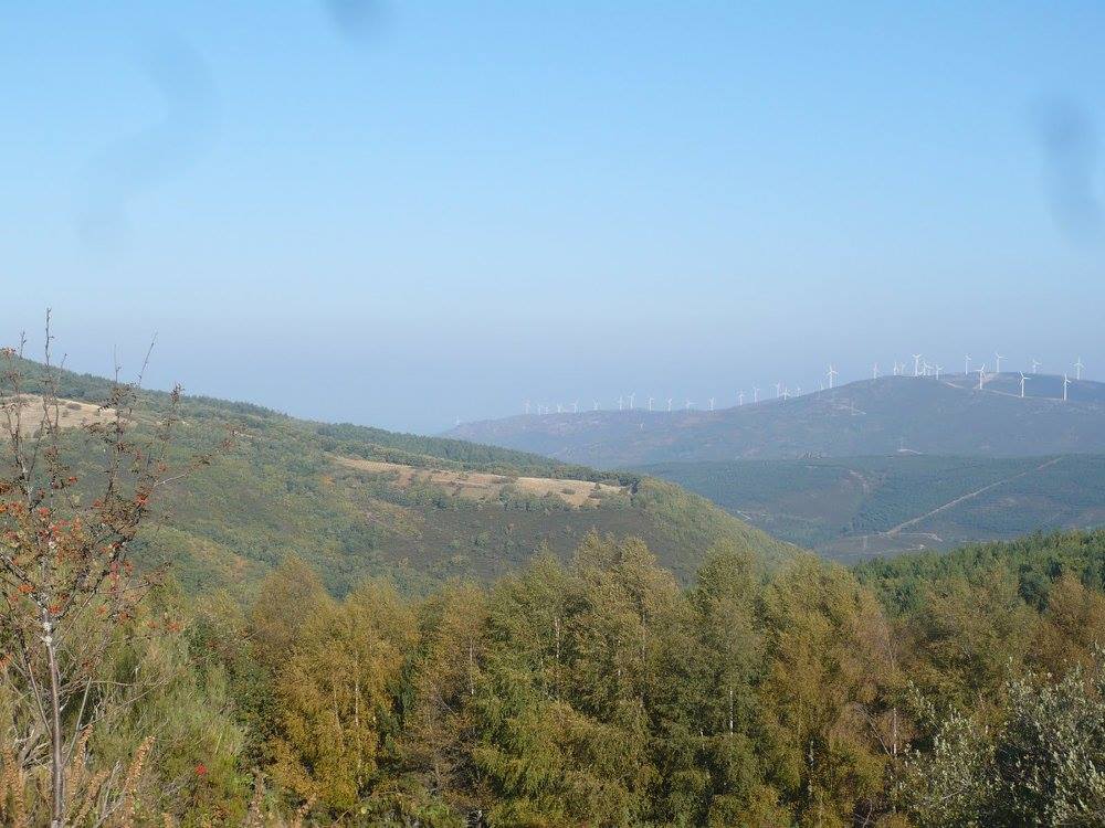 12973038_907226264329_543046037248261603_o