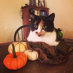 14692071_951975446609_3926326159542724502_o