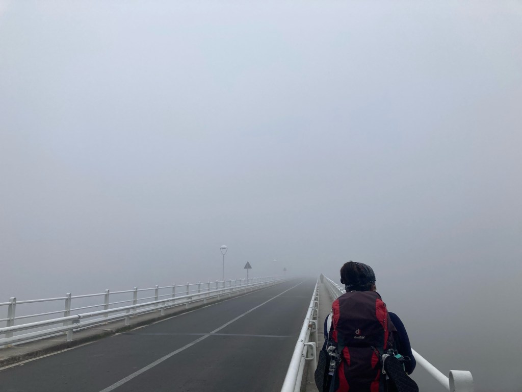 13. On Why You Came&nbsp;Here